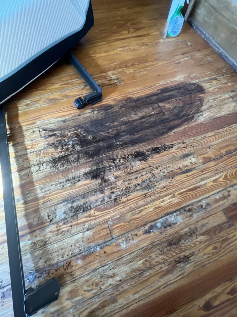 Close-up of water-damaged hardwood floor with a large black mold stain beneath where a Tempur-Pedic mattress frame had been sitting, showing significant moisture and mold growth on the wood planks