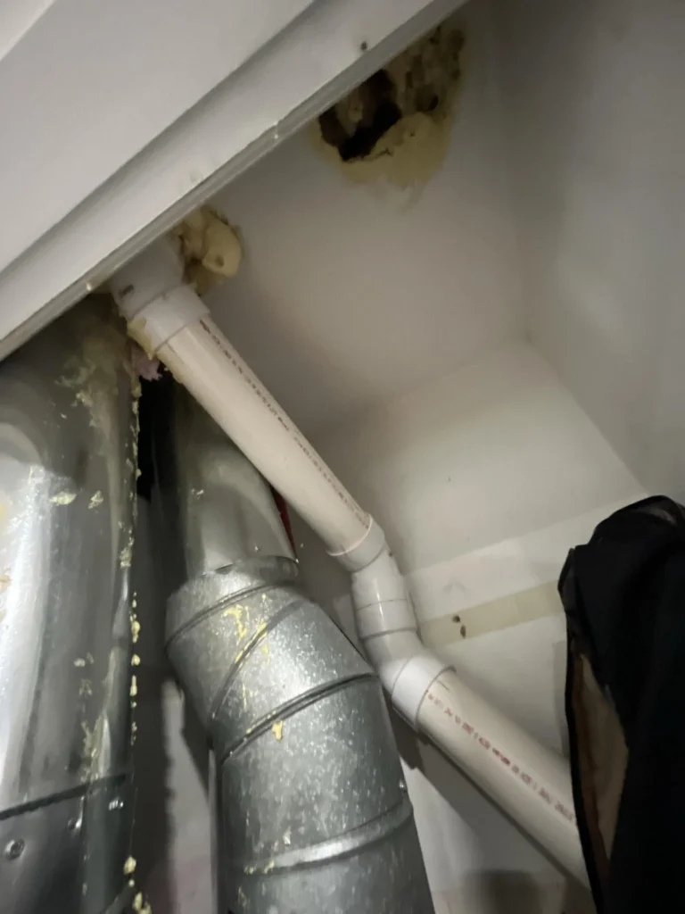 Interior closet ceiling showing black mold growth and yellow water damage staining around HVAC ductwork and white PVC drain pipes, indicating significant moisture intrusion