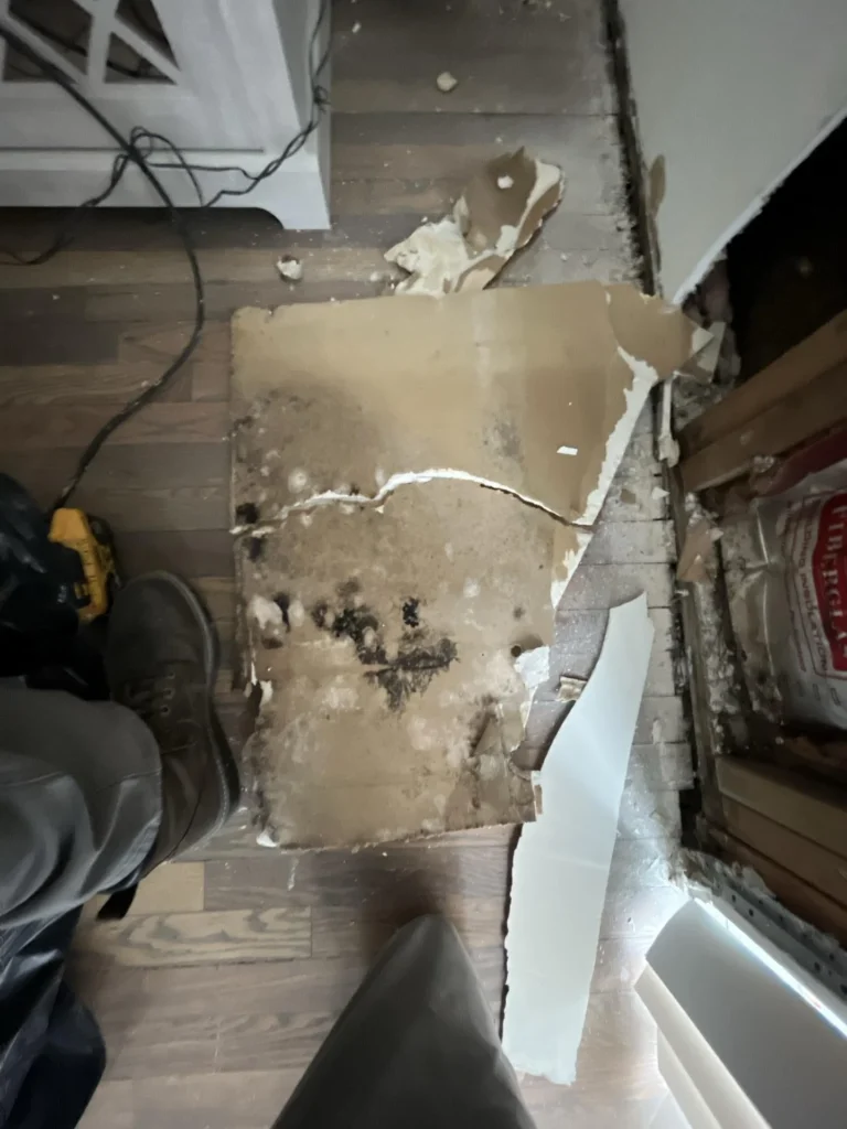 Overhead view of a severely water-damaged drywall panel removed from a wall showing black mold growth on the back face, lying on a hardwood floor next to exposed wall framing and a bag of building materials