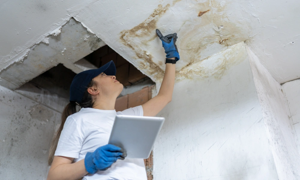 ceiling water damage repair cost