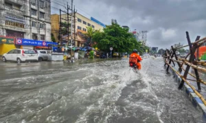 storm water cleanup cost