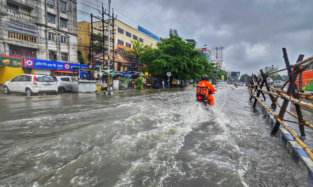 storm water cleanup cost