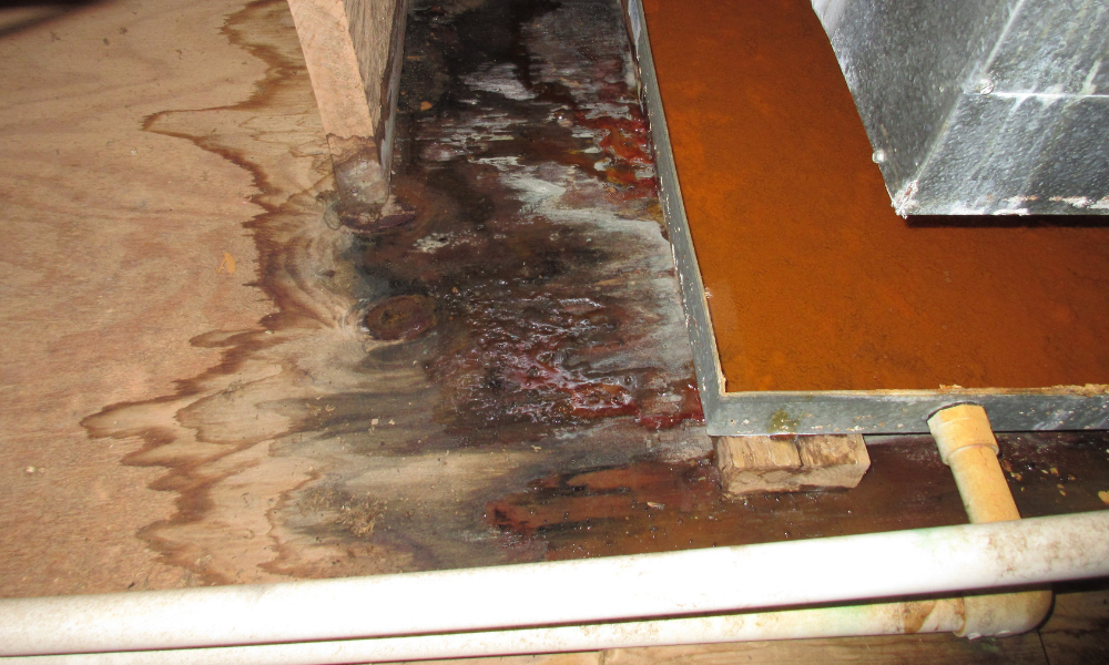 Basement with standing water and water-damaged subfloor requiring emergency water damage restoration and structural drying.